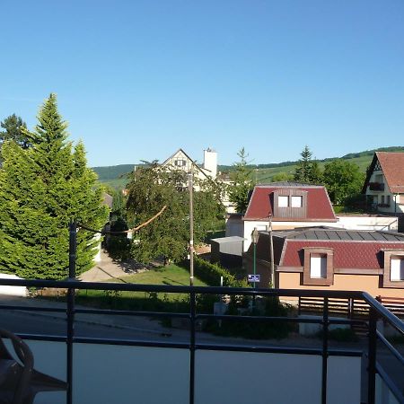 Le Parc Du Marlenberg Marlenheim Exterior foto
